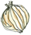 onion